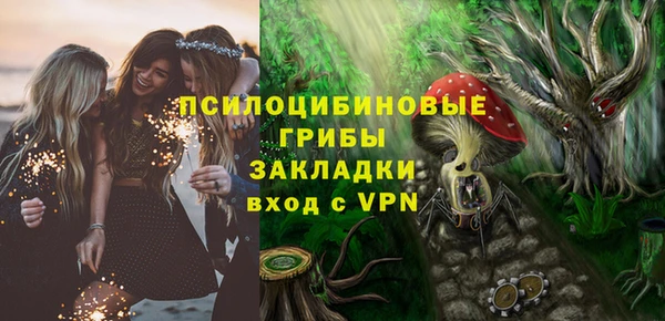 крисы Пестово