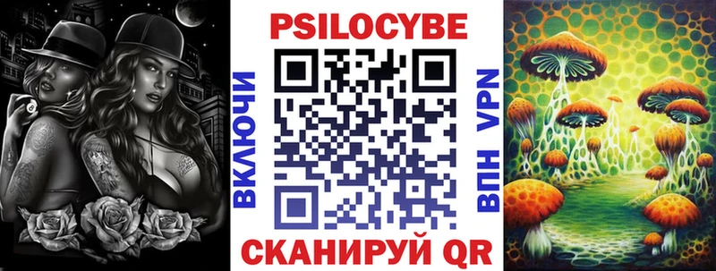 где найти наркотики  Багратионовск  Псилоцибиновые грибы ЛСД 